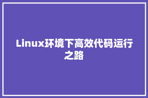 Linux环境下高效代码运行之路