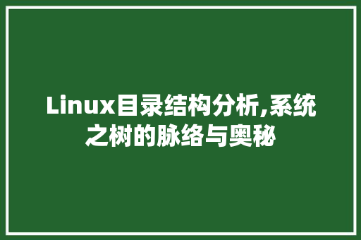 Linux目录结构分析,系统之树的脉络与奥秘