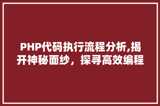 PHP代码执行流程分析,揭开神秘面纱，探寻高效编程之路