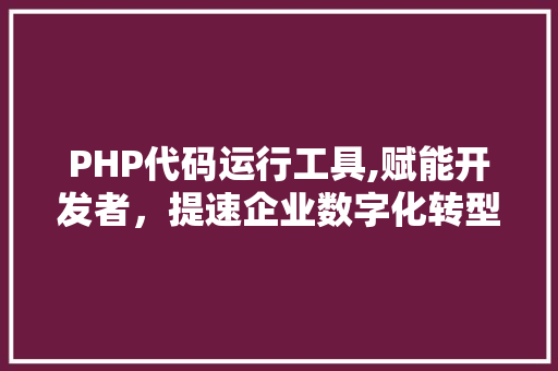 PHP代码运行工具,赋能开发者，提速企业数字化转型