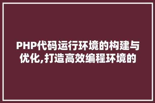 PHP代码运行环境的构建与优化,打造高效编程环境的关键