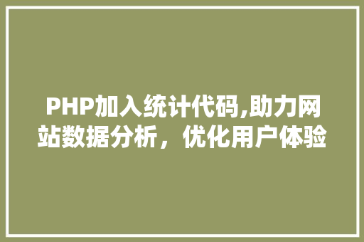 PHP加入统计代码,助力网站数据分析，优化用户体验 React