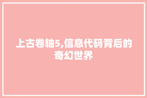 上古卷轴5,信息代码背后的奇幻世界