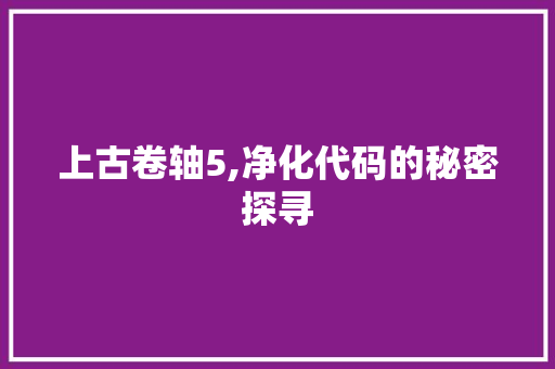 上古卷轴5,净化代码的秘密探寻