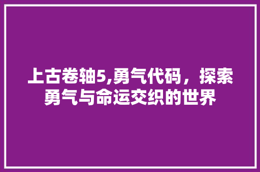 上古卷轴5,勇气代码，探索勇气与命运交织的世界