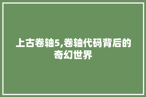 上古卷轴5,卷轴代码背后的奇幻世界