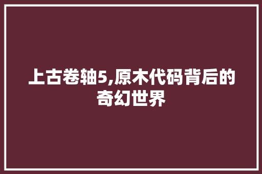 上古卷轴5,原木代码背后的奇幻世界