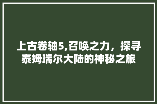 上古卷轴5,召唤之力，探寻泰姆瑞尔大陆的神秘之旅