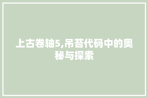 上古卷轴5,吊苔代码中的奥秘与探索