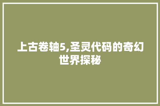 上古卷轴5,圣灵代码的奇幻世界探秘