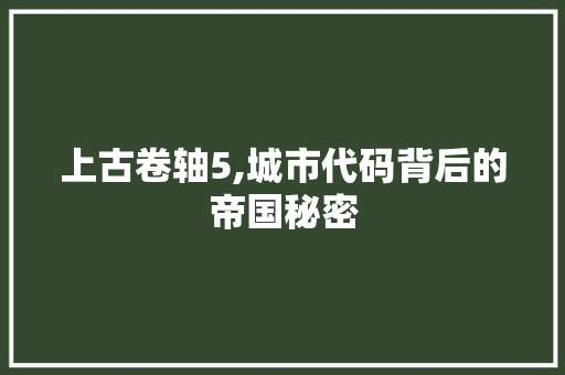 上古卷轴5,城市代码背后的帝国秘密