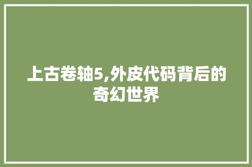 上古卷轴5,外皮代码背后的奇幻世界