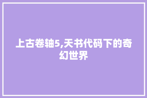 上古卷轴5,天书代码下的奇幻世界