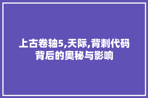 上古卷轴5,天际,背刺代码背后的奥秘与影响