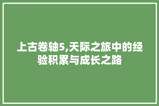 上古卷轴5,天际之旅中的经验积累与成长之路