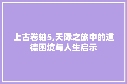 上古卷轴5,天际之旅中的道德困境与人生启示