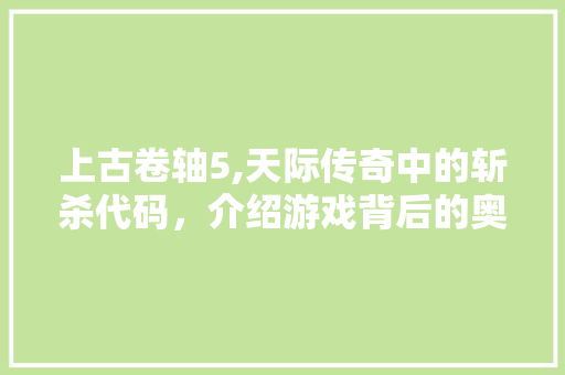 上古卷轴5,天际传奇中的斩杀代码，介绍游戏背后的奥秘