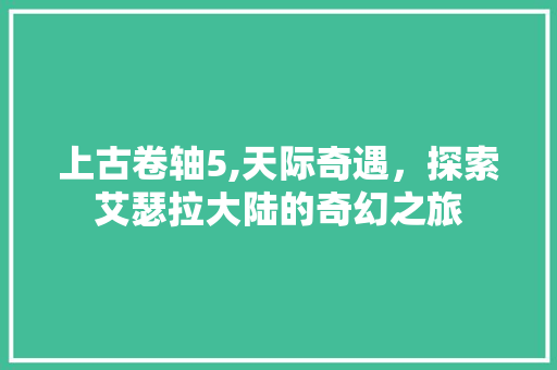 上古卷轴5,天际奇遇，探索艾瑟拉大陆的奇幻之旅