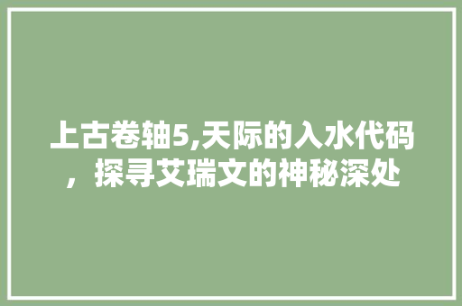 上古卷轴5,天际的入水代码，探寻艾瑞文的神秘深处 React