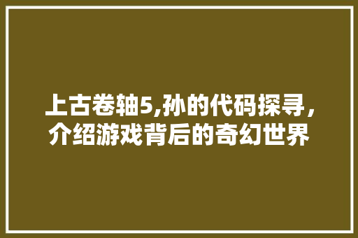 上古卷轴5,孙的代码探寻，介绍游戏背后的奇幻世界