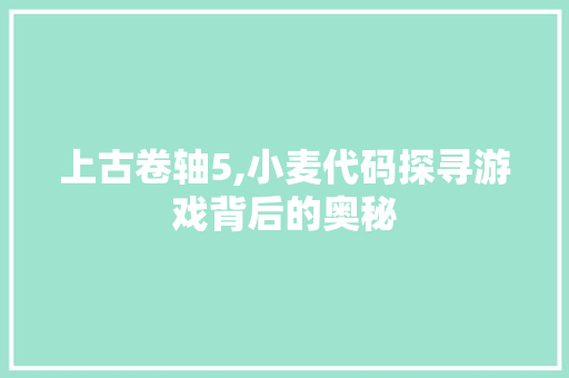 上古卷轴5,小麦代码探寻游戏背后的奥秘