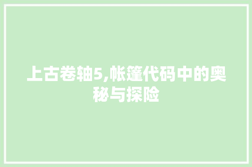 上古卷轴5,帐篷代码中的奥秘与探险