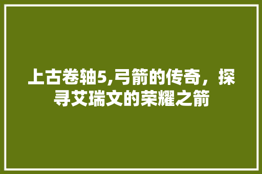 上古卷轴5,弓箭的传奇，探寻艾瑞文的荣耀之箭