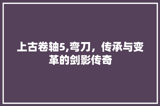 上古卷轴5,弯刀，传承与变革的剑影传奇