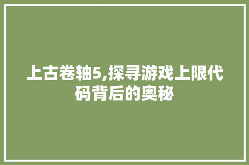 上古卷轴5,探寻游戏上限代码背后的奥秘