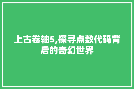 上古卷轴5,探寻点数代码背后的奇幻世界