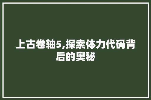 上古卷轴5,探索体力代码背后的奥秘