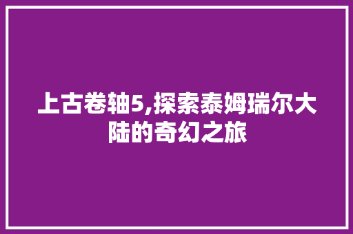 上古卷轴5,探索泰姆瑞尔大陆的奇幻之旅