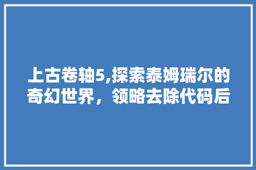 上古卷轴5,探索泰姆瑞尔的奇幻世界，领略去除代码后的魅力