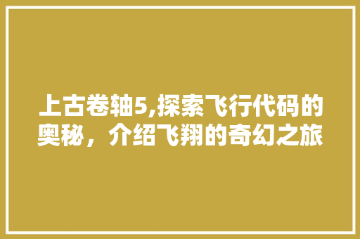 上古卷轴5,探索飞行代码的奥秘，介绍飞翔的奇幻之旅