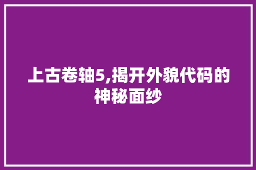 上古卷轴5,揭开外貌代码的神秘面纱