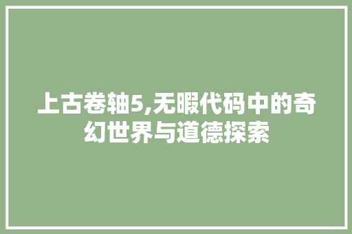 上古卷轴5,无暇代码中的奇幻世界与道德探索