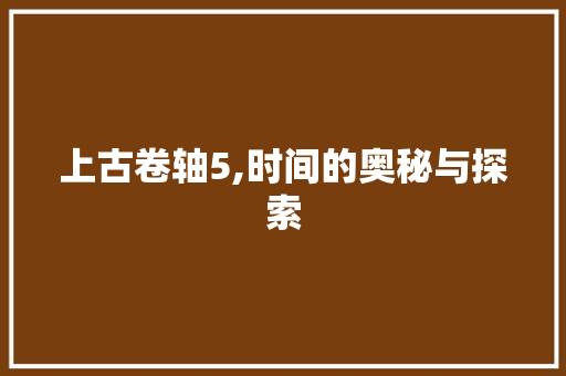 上古卷轴5,时间的奥秘与探索