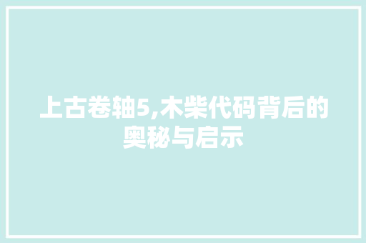 上古卷轴5,木柴代码背后的奥秘与启示