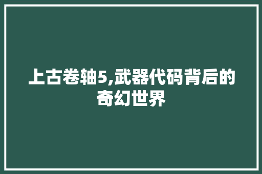 上古卷轴5,武器代码背后的奇幻世界