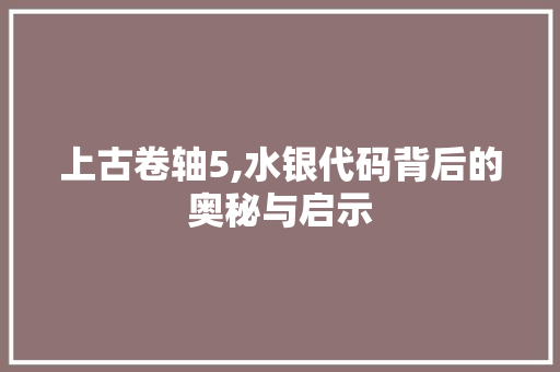 上古卷轴5,水银代码背后的奥秘与启示