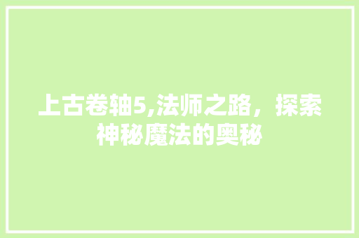 上古卷轴5,法师之路，探索神秘魔法的奥秘