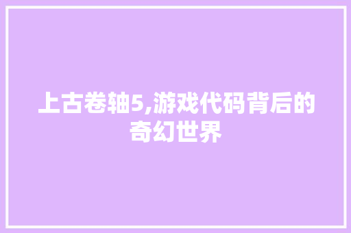 上古卷轴5,游戏代码背后的奇幻世界