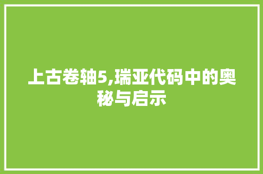 上古卷轴5,瑞亚代码中的奥秘与启示