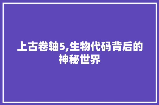 上古卷轴5,生物代码背后的神秘世界