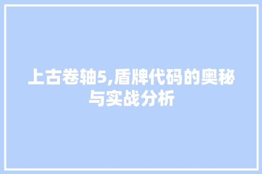 上古卷轴5,盾牌代码的奥秘与实战分析