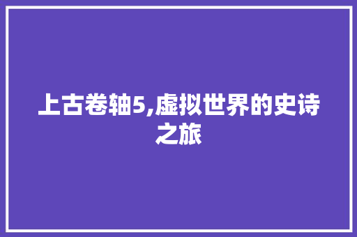 上古卷轴5,虚拟世界的史诗之旅