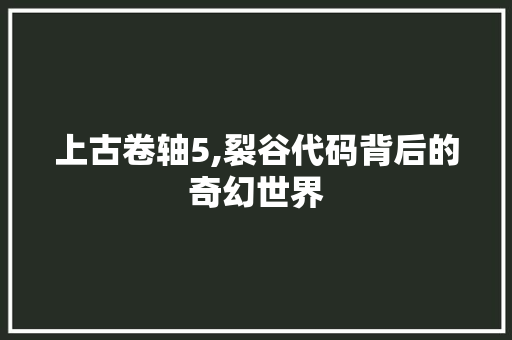 上古卷轴5,裂谷代码背后的奇幻世界