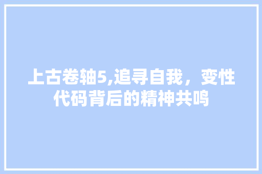 上古卷轴5,追寻自我，变性代码背后的精神共鸣