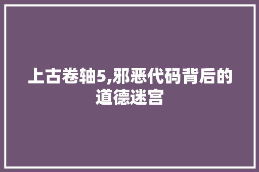 上古卷轴5,邪恶代码背后的道德迷宫