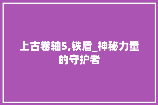 上古卷轴5,铁盾_神秘力量的守护者